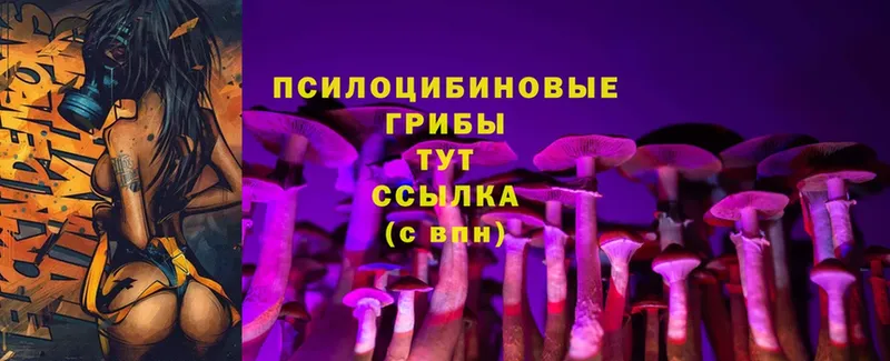 Псилоцибиновые грибы Psilocybine cubensis  площадка официальный сайт  Алапаевск  цена наркотик 